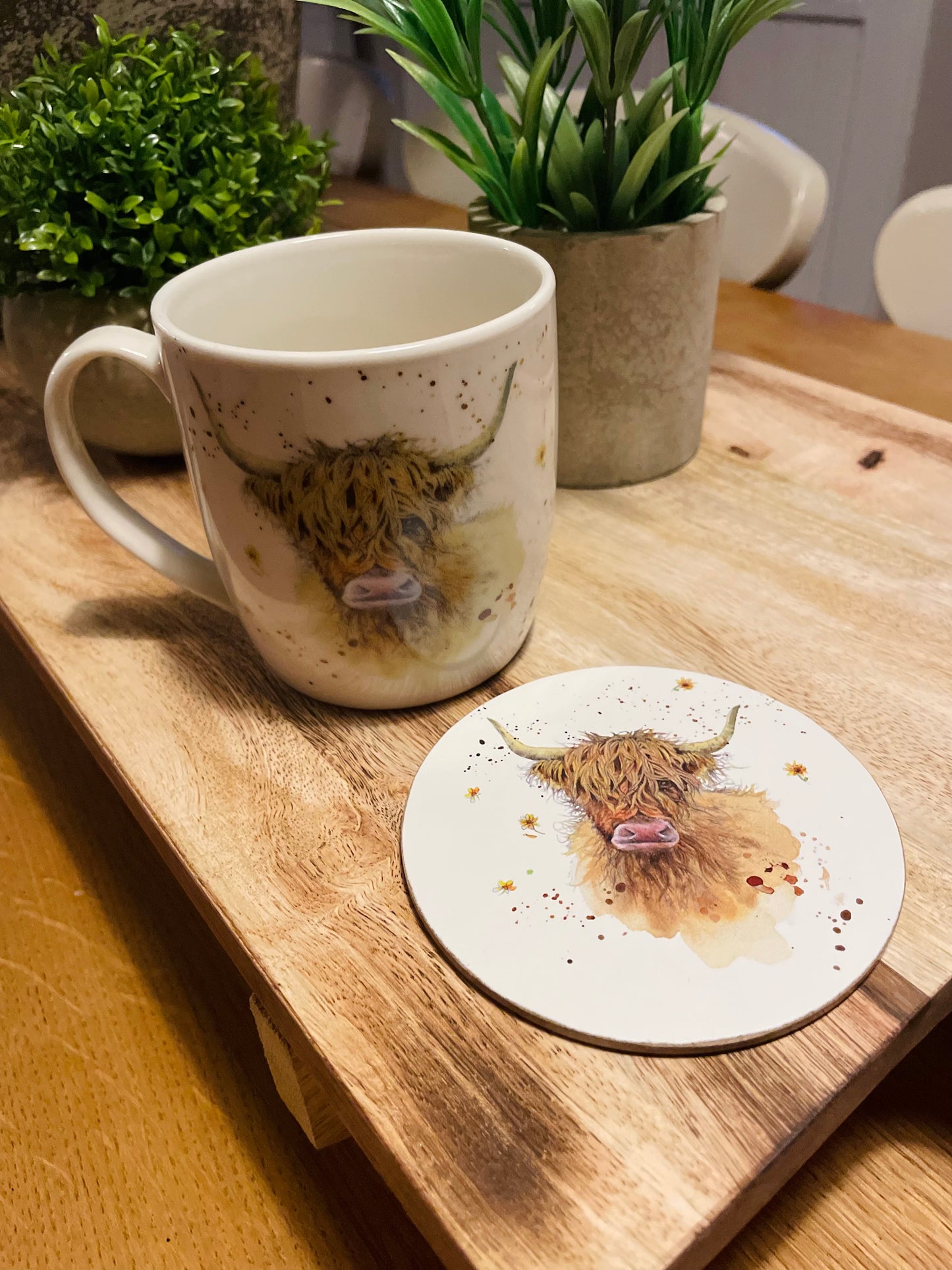 Jan Pashley Highland Cow Mug and Coaster Set