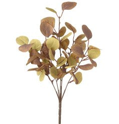 Neutral Eucalyptus Leaf Spring