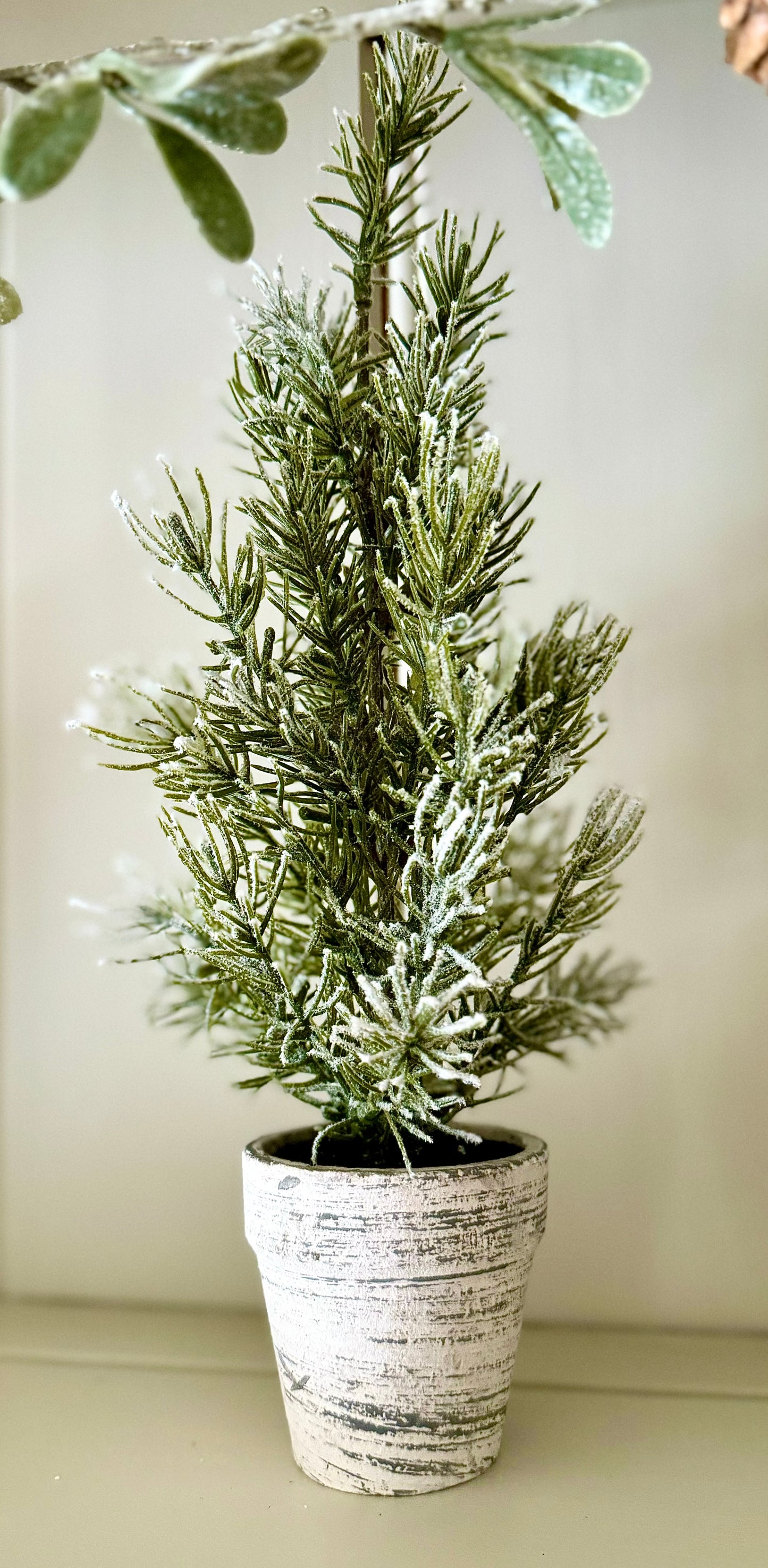 Mini Potted Indoor Trees in Rustic Pot - 31cm