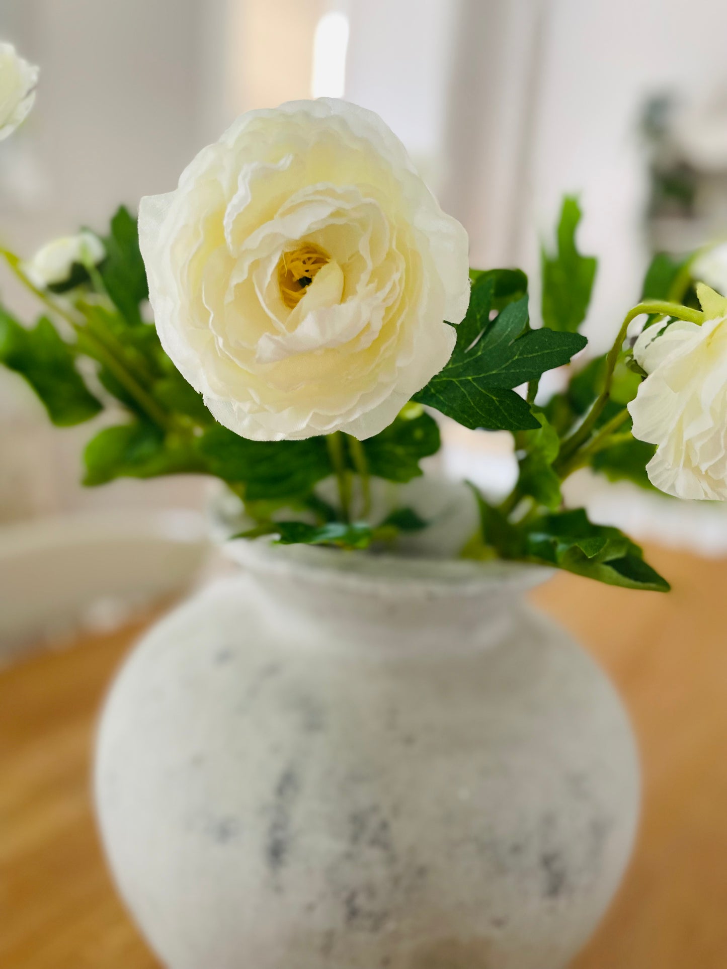 Ranunculus Stem