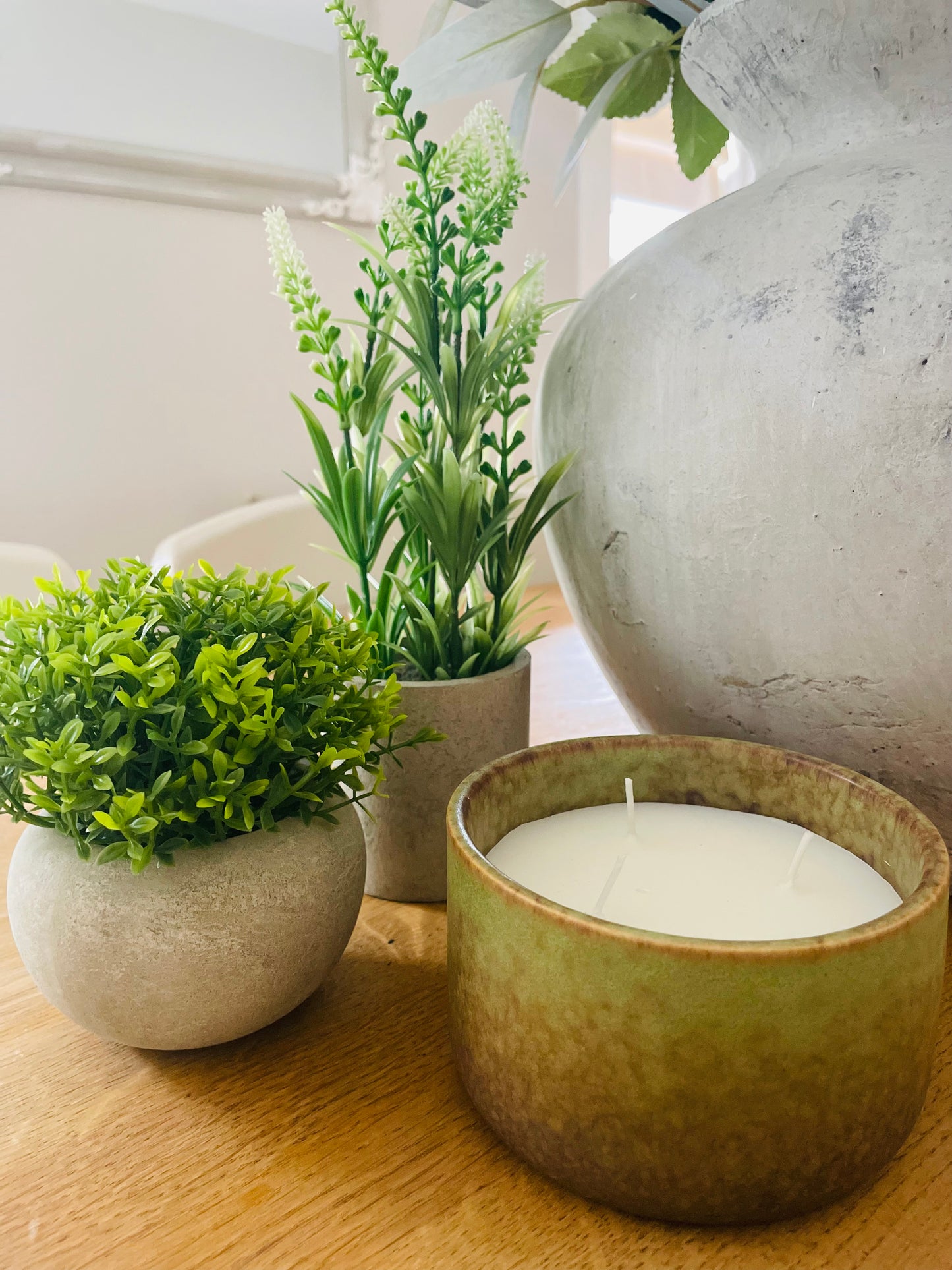 Miniature Hebe In Pot