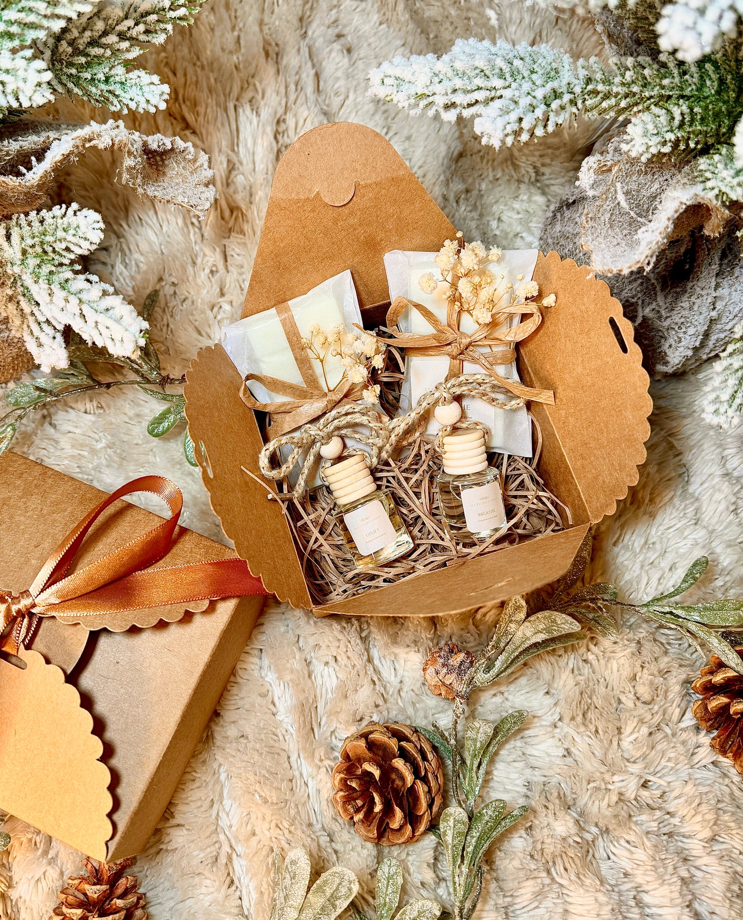 Aromatherapy Car and Home Gift Set