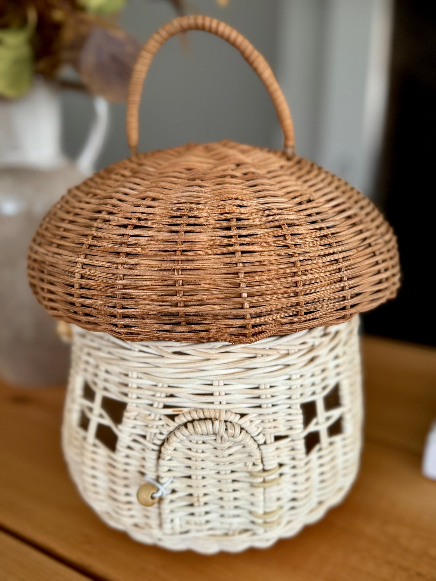 Rattan Mushroom House: Wonders of Nature