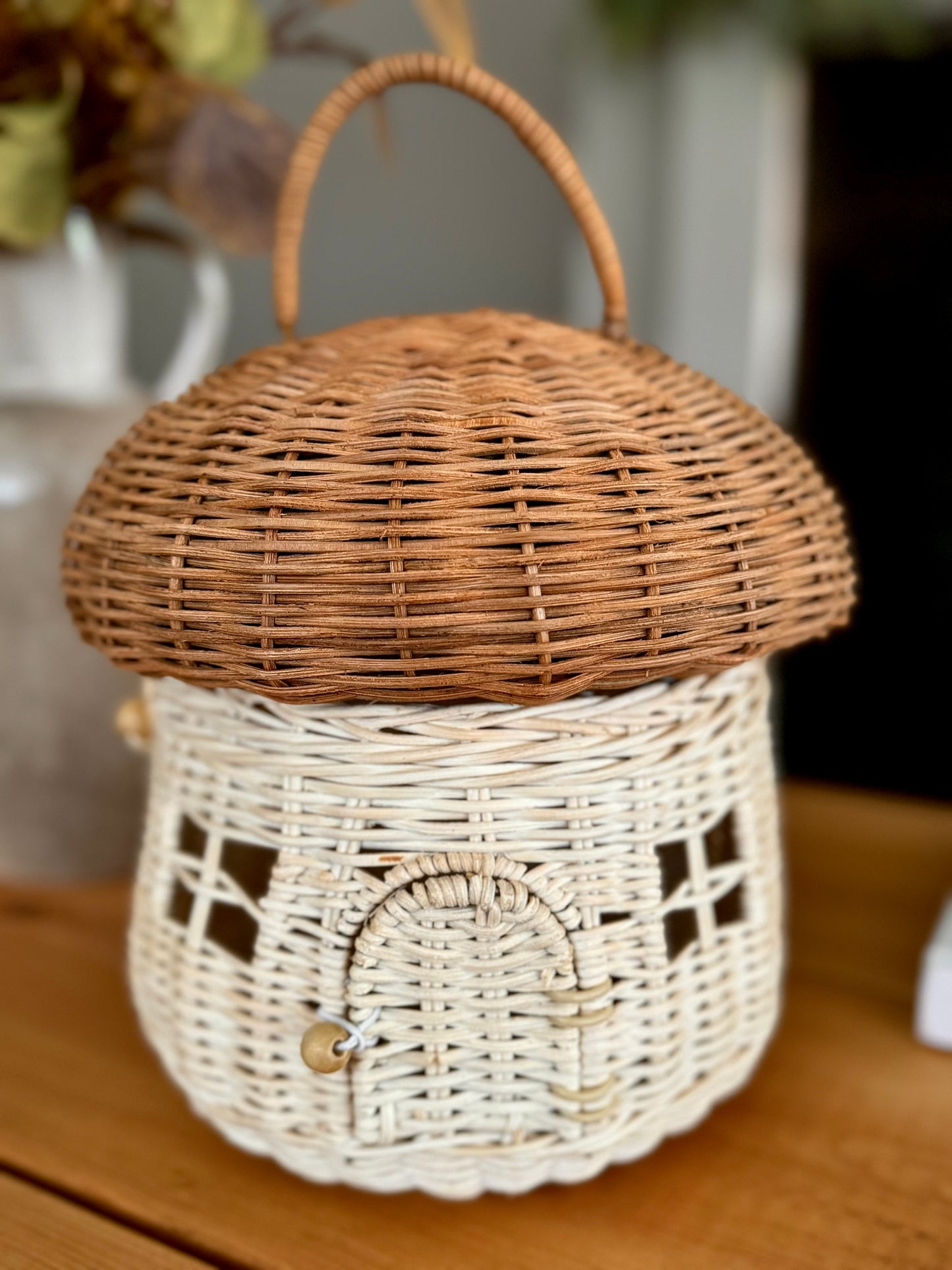 Rattan Mushroom House: Wonders of Nature
