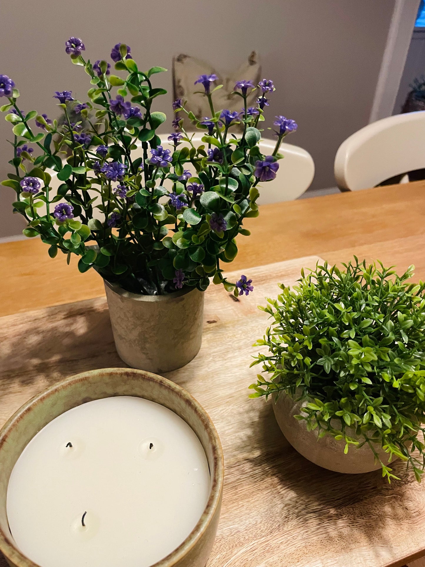 Flower Plant in Stone Effect Pot