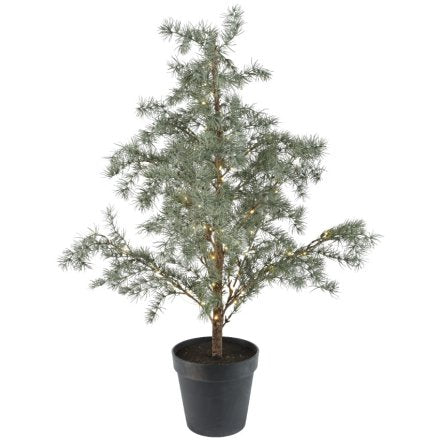 Indoor Frosted LED Christmas Tree - 80cm