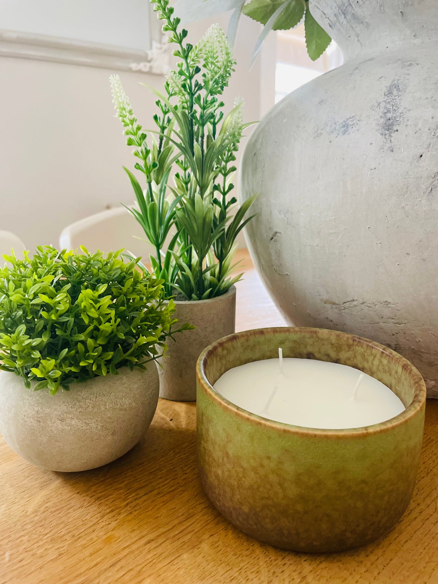 Miniature Hebe In Pot