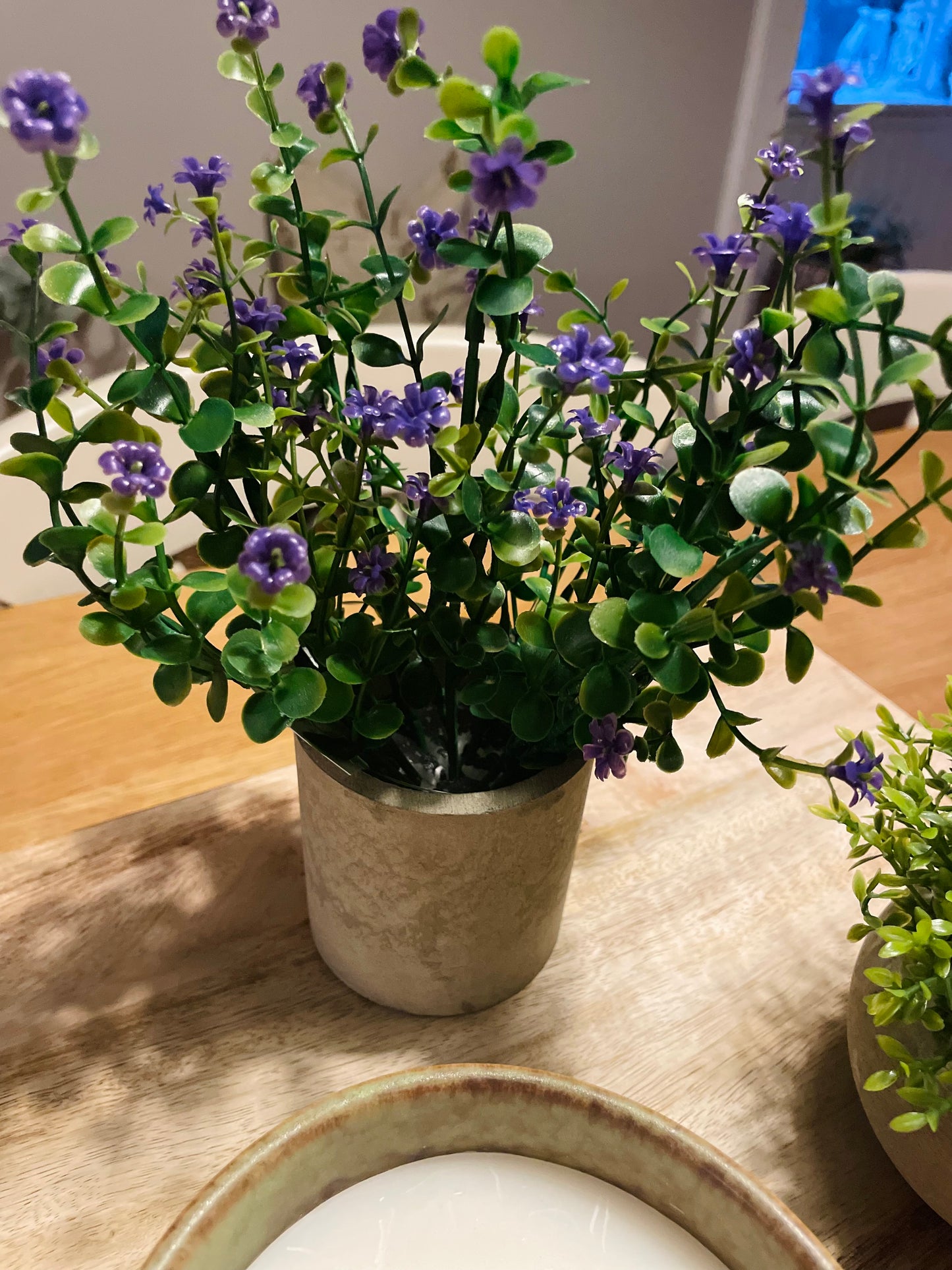 Flower Plant in Stone Effect Pot
