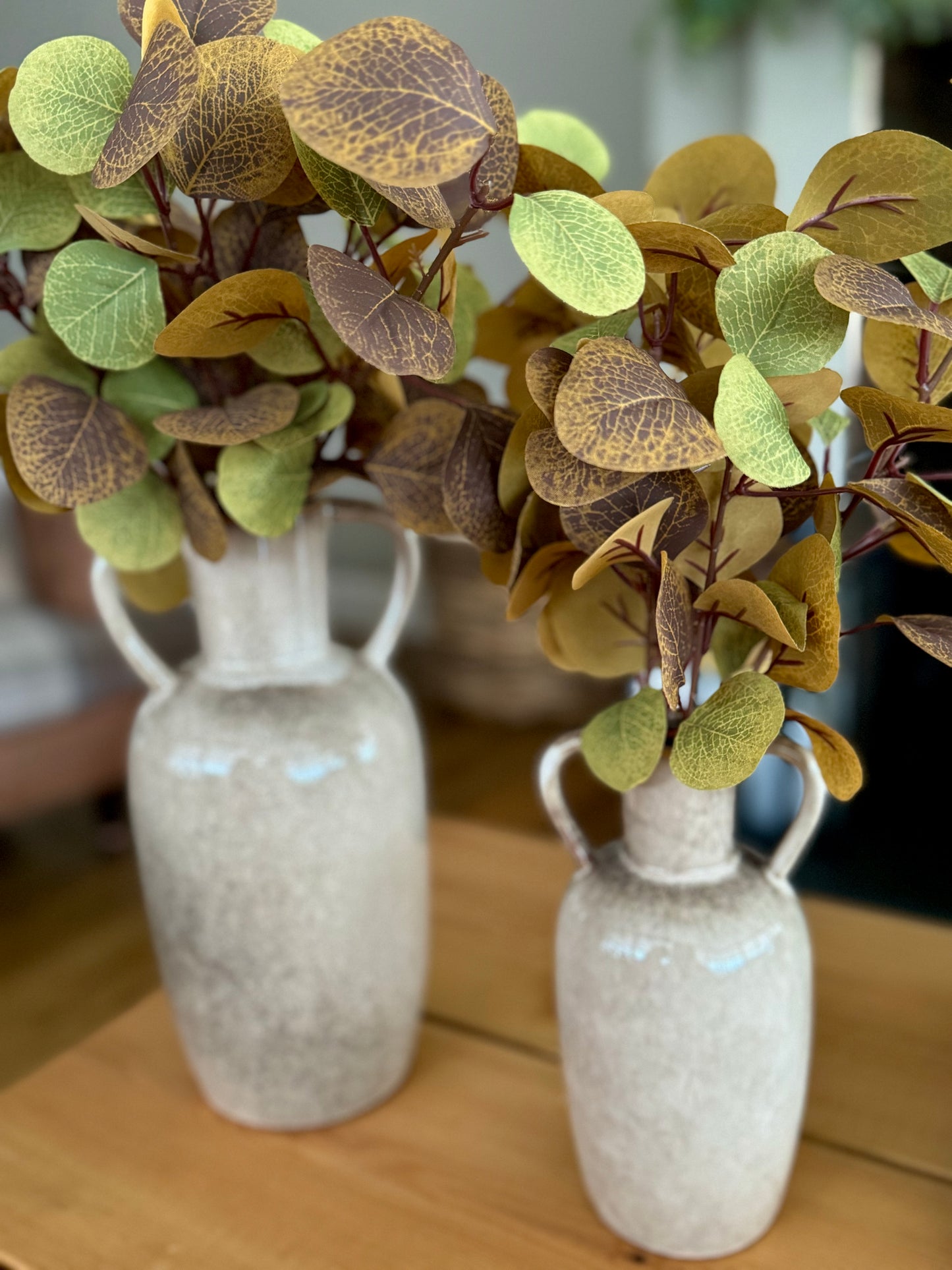 Neutral Eucalyptus Leaf Spring
