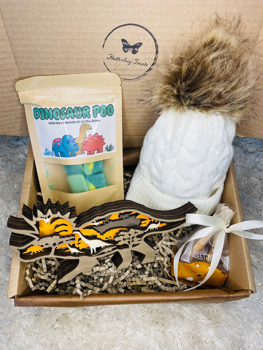 Boy’s Dinosaur Gift Box
