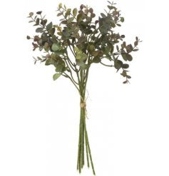 Burgundy Eucalyptus Spray