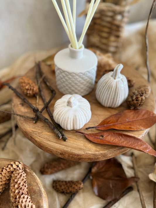 Autumn/Winter Reed Diffusers