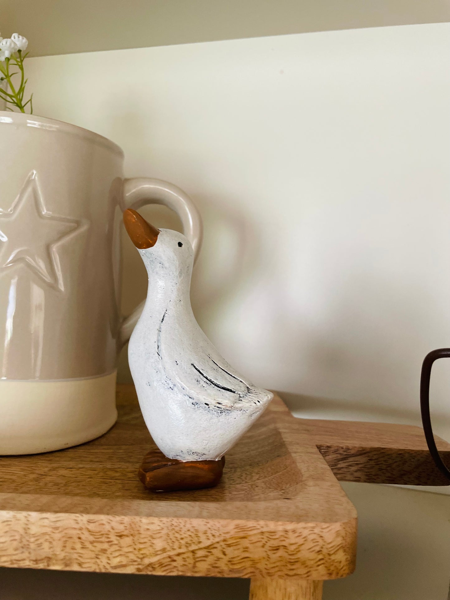 Posed White Duck