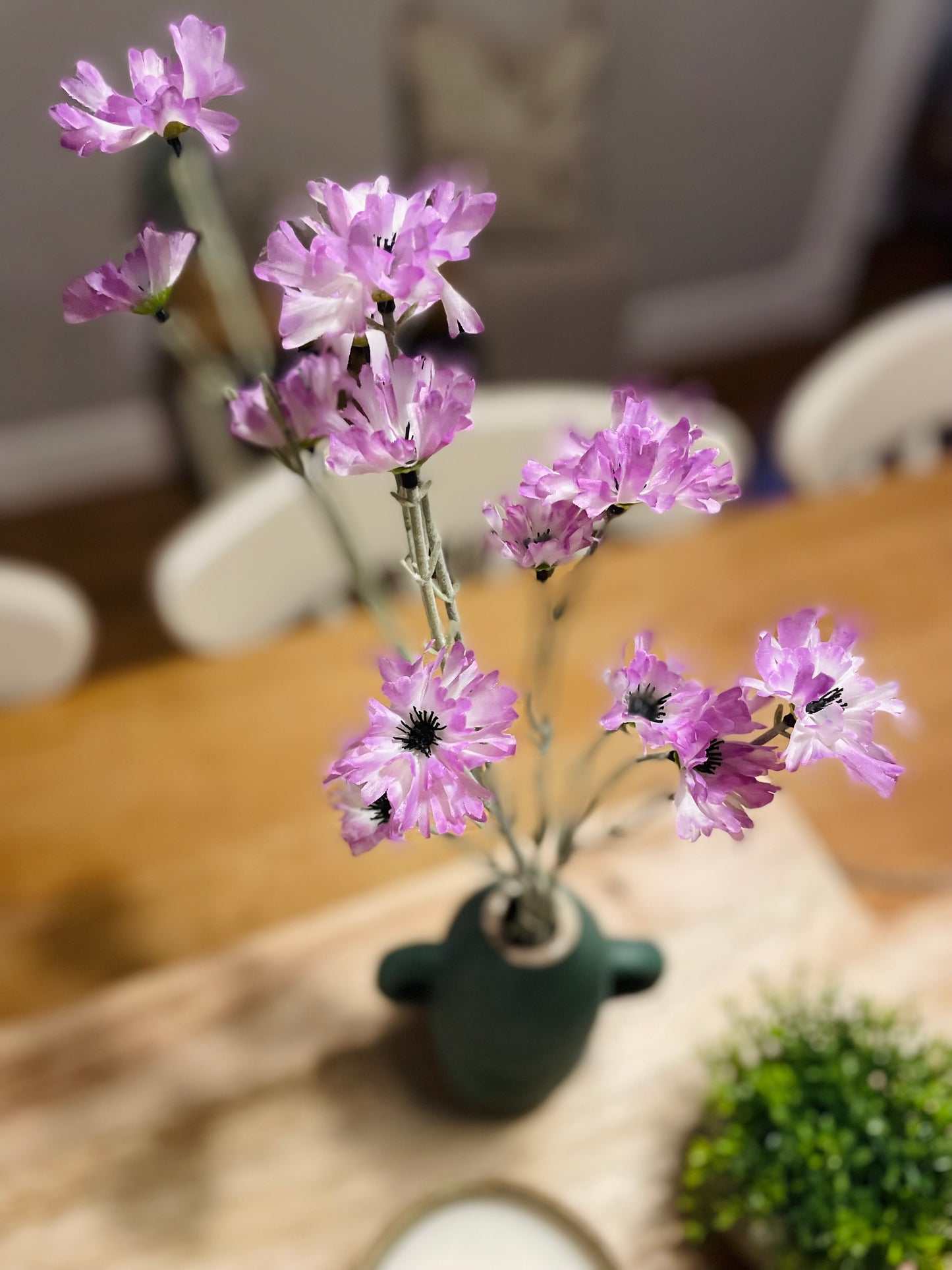 Lilac Cornflower Stem