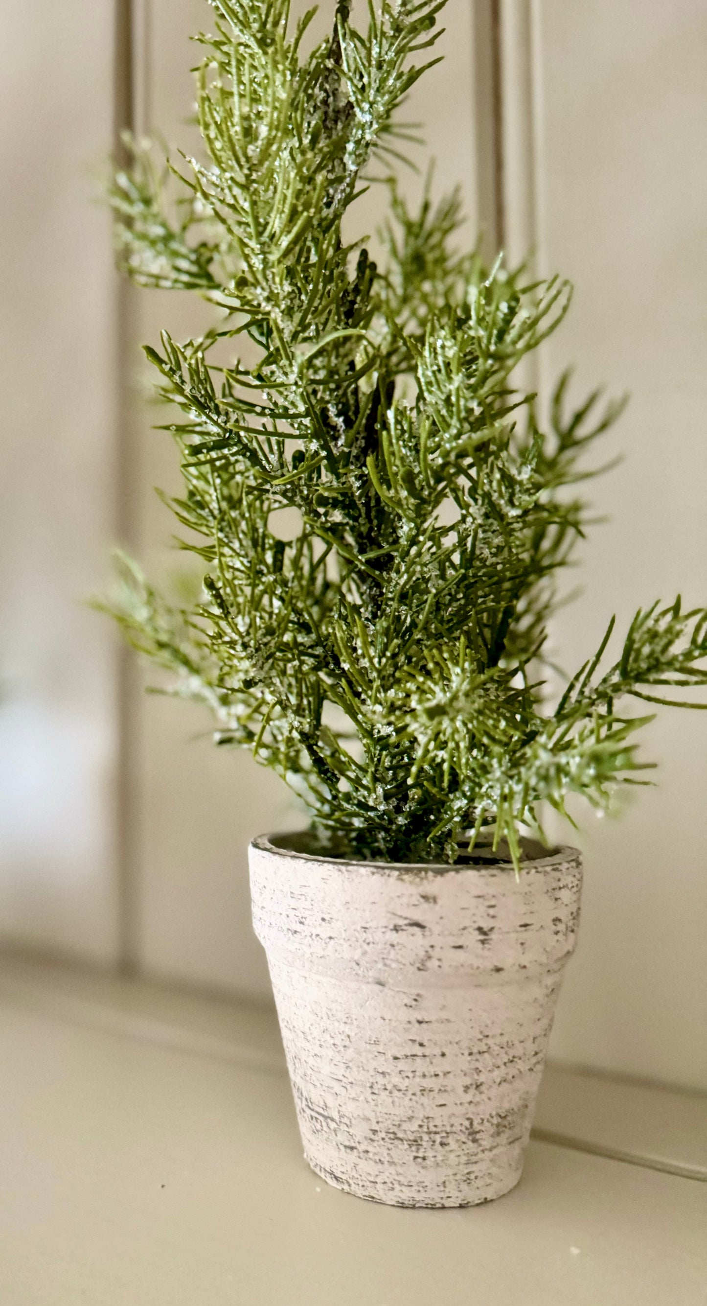 Mini Potted Indoor Trees in Rustic Pot - 31cm