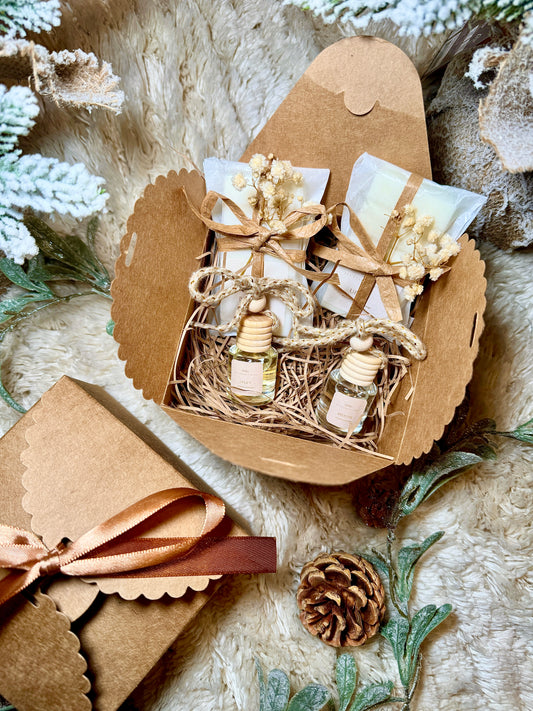 Aromatherapy Car and Home Gift Set