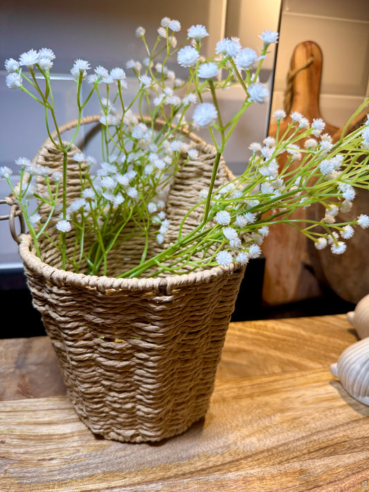 Gypsophilia Spray