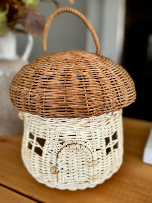 Rattan Mushroom House:  Wonders of Nature