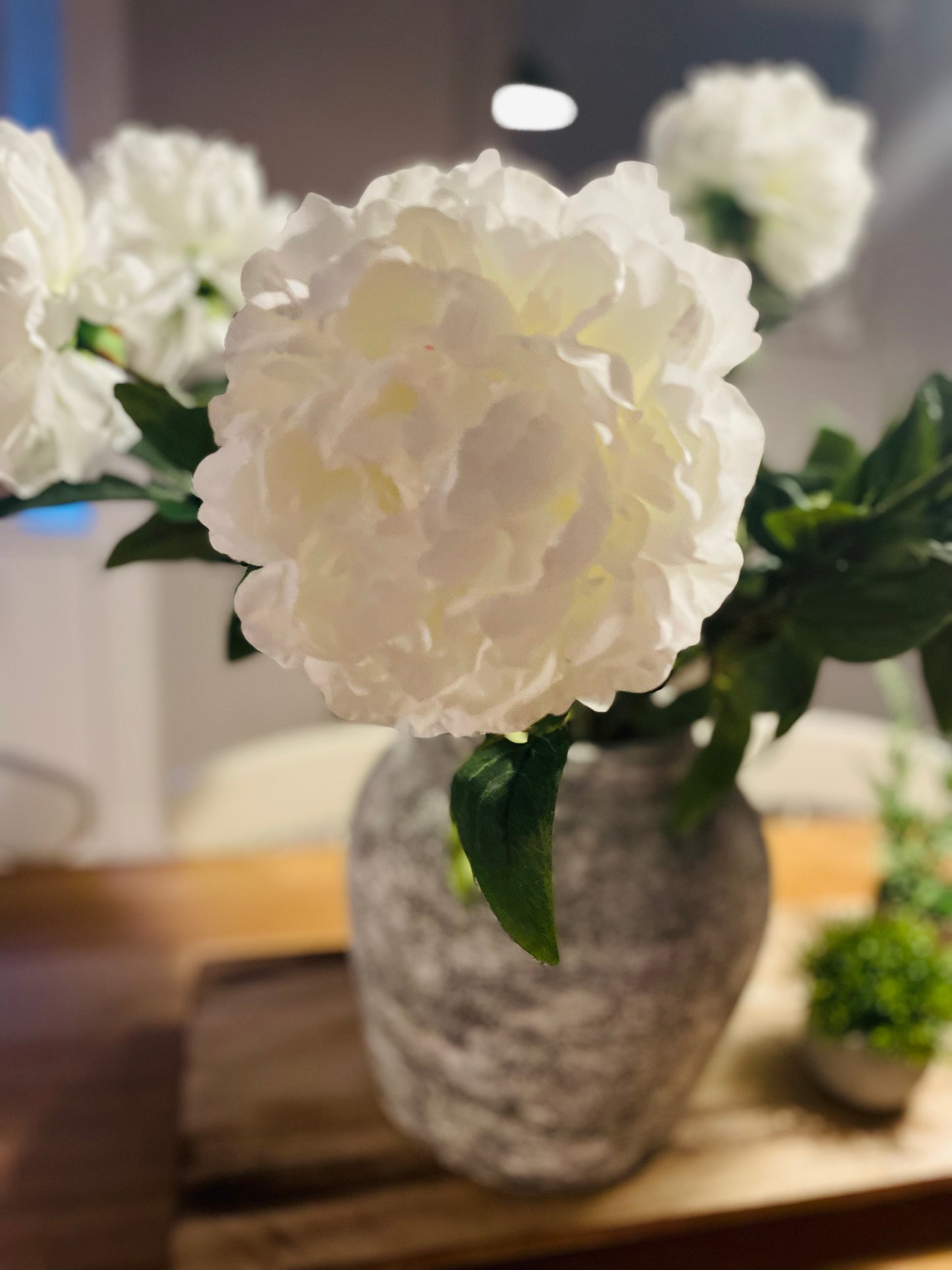 Large White Peony Stem