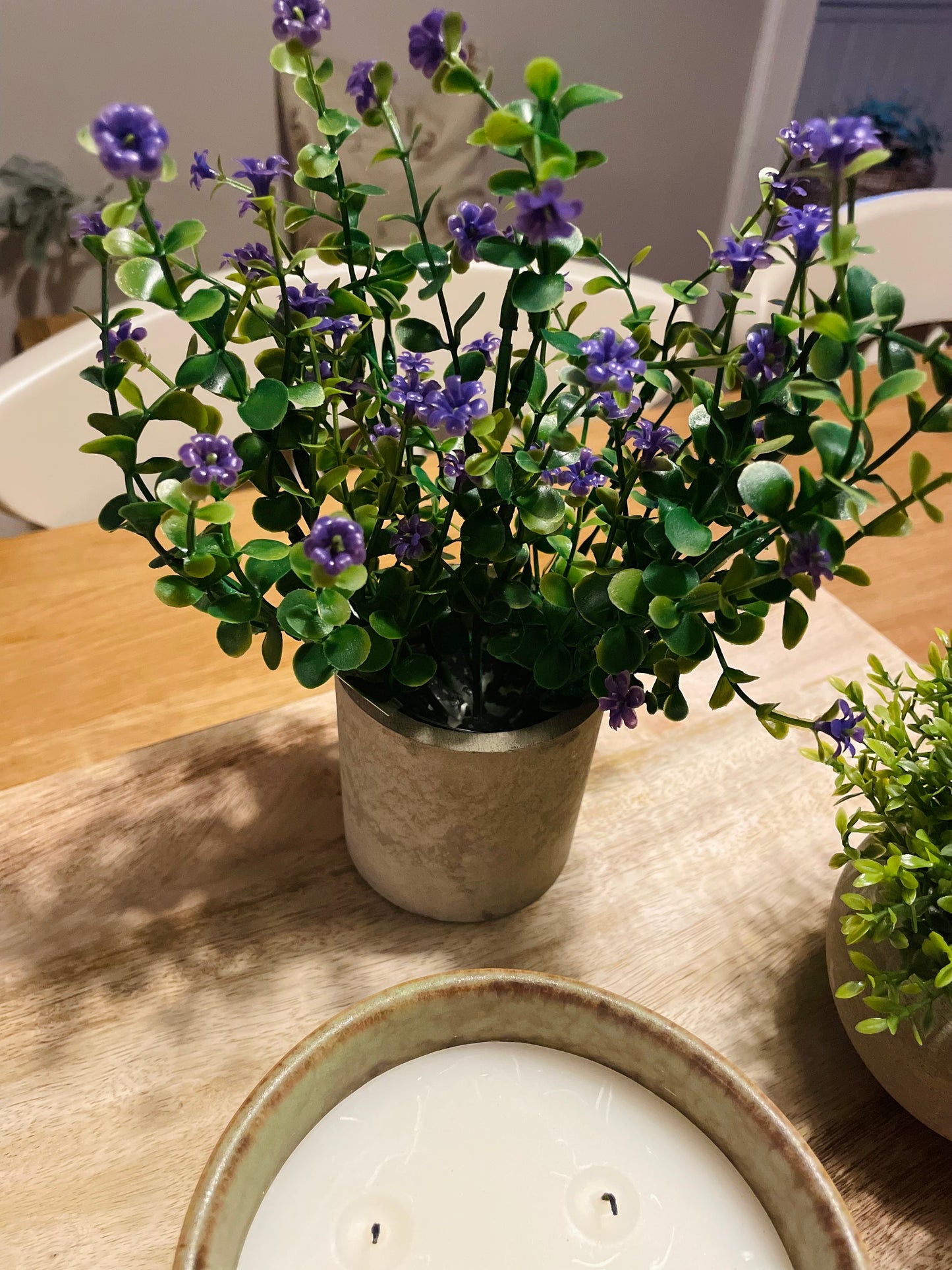 Flower Plant in Stone Effect Pot