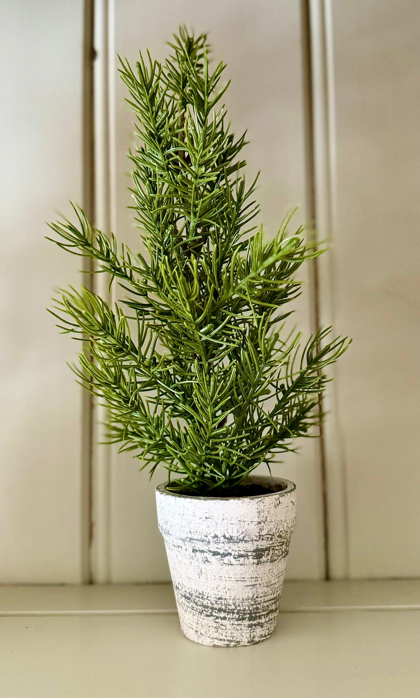 Mini Potted Indoor Trees in Rustic Pot - 31cm