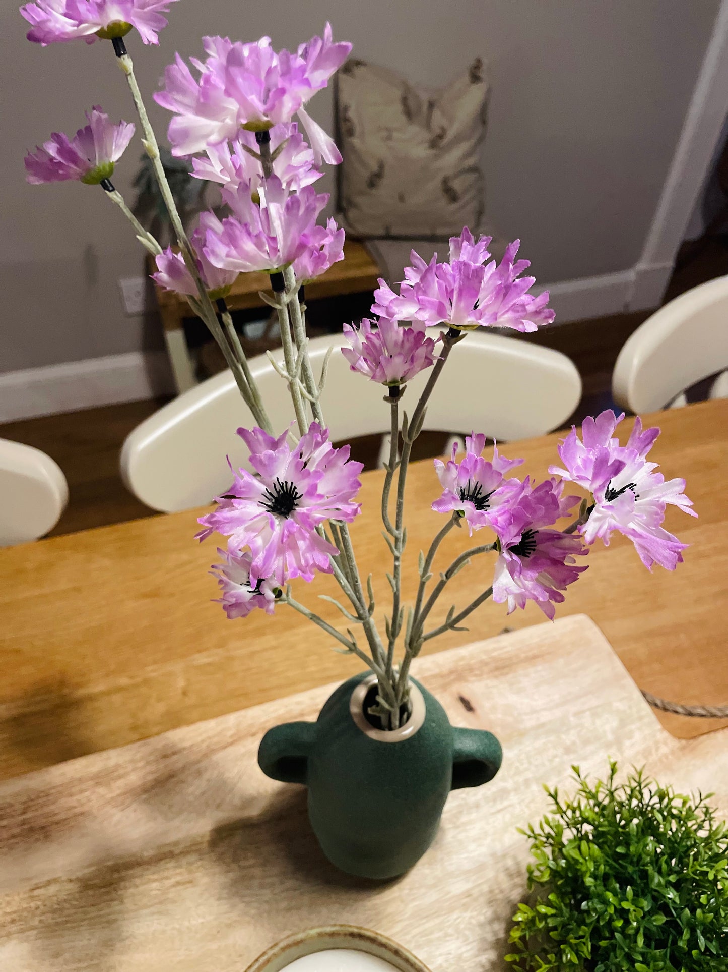Lilac Cornflower Stem