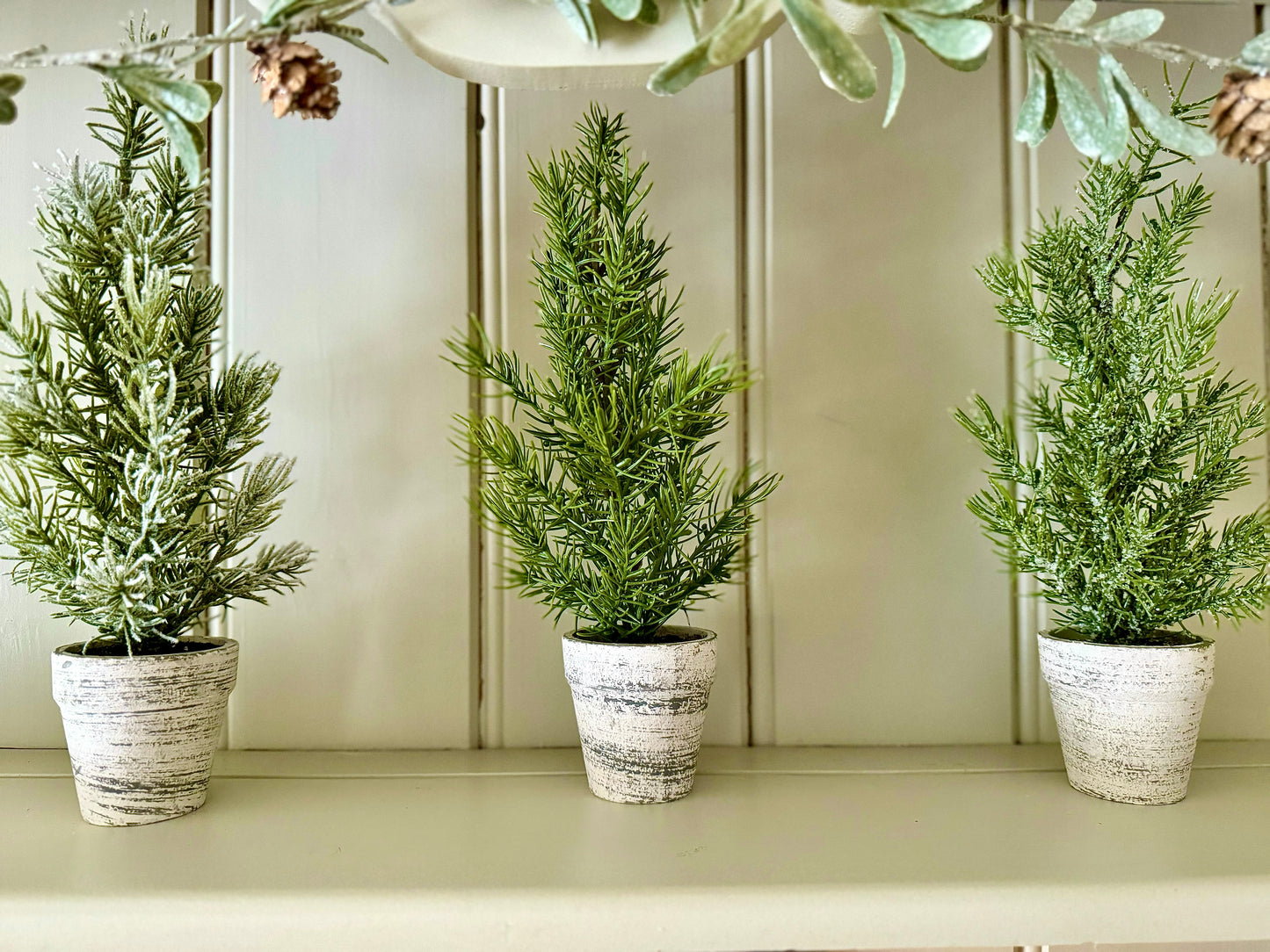 Mini Potted Indoor Trees in Rustic Pot - 31cm