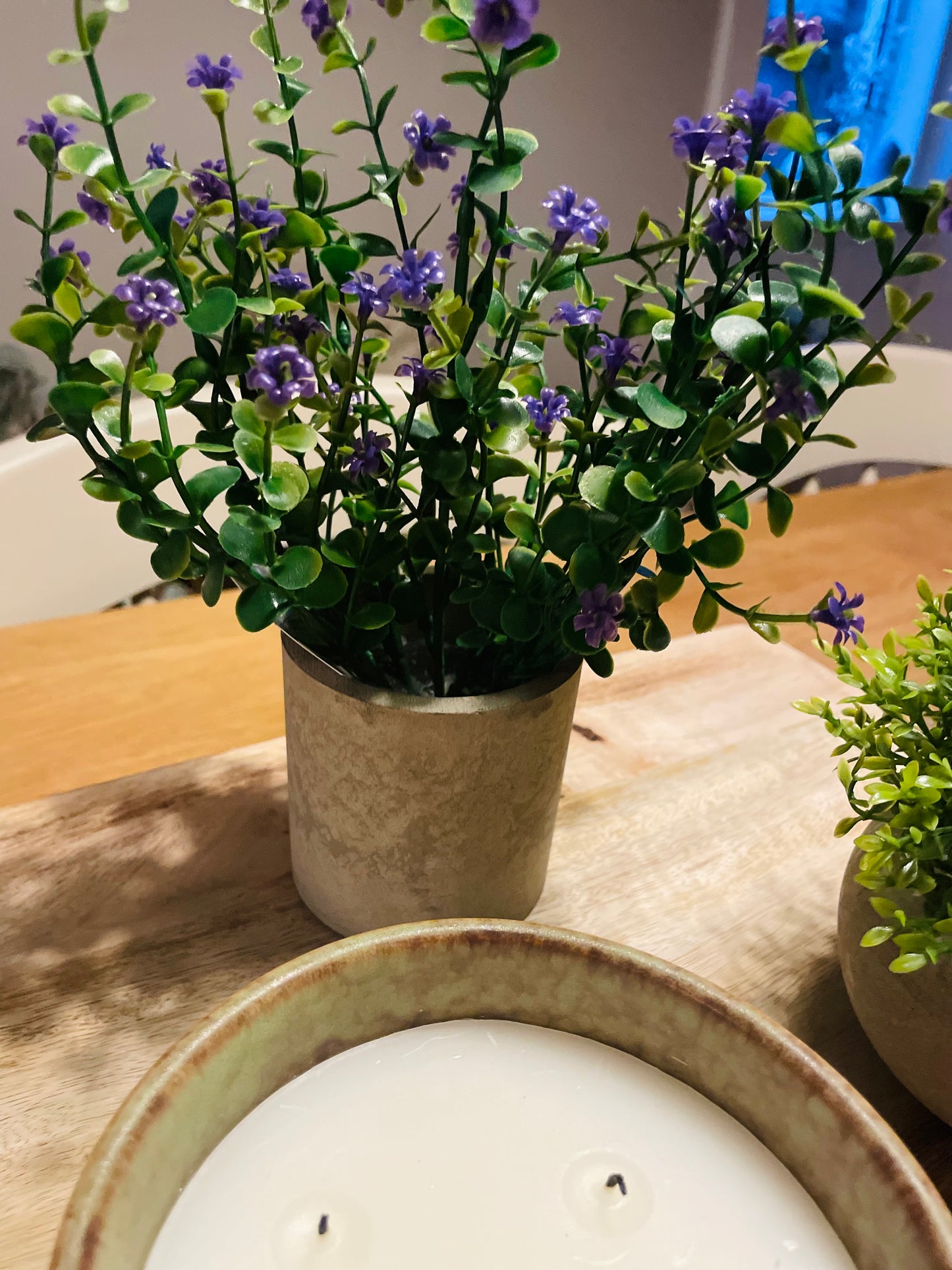Flower Plant in Stone Effect Pot