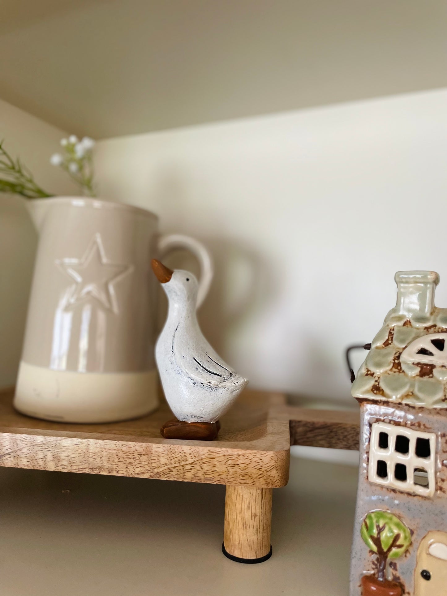 Posed White Duck