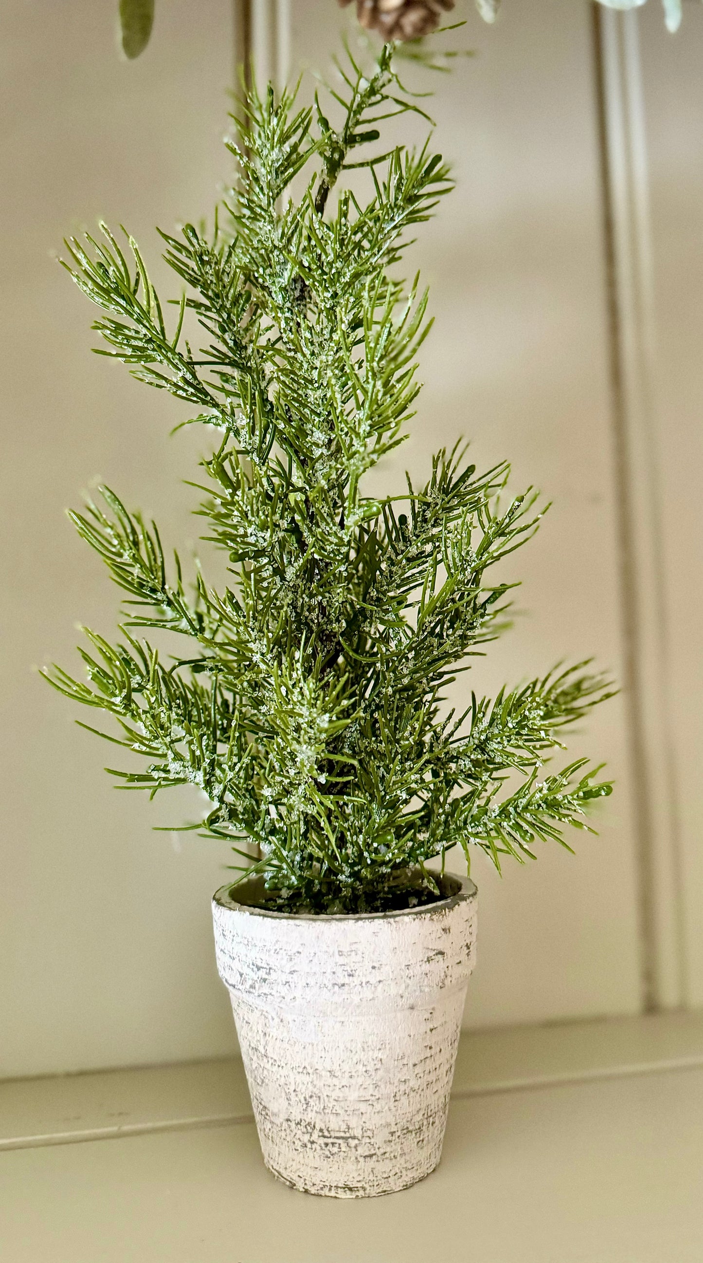 Mini Potted Indoor Trees in Rustic Pot - 31cm