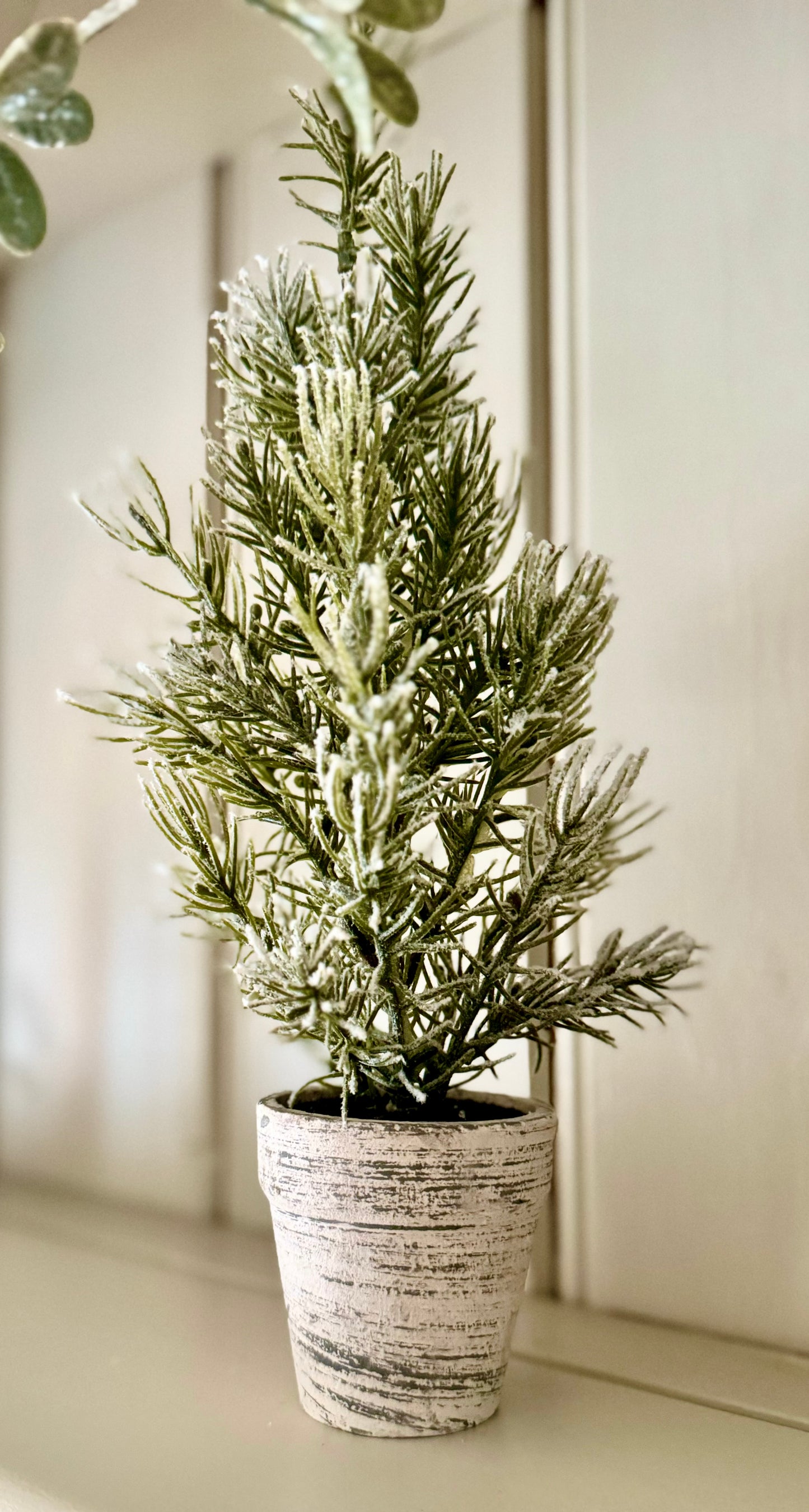 Mini Potted Indoor Trees in Rustic Pot - 31cm