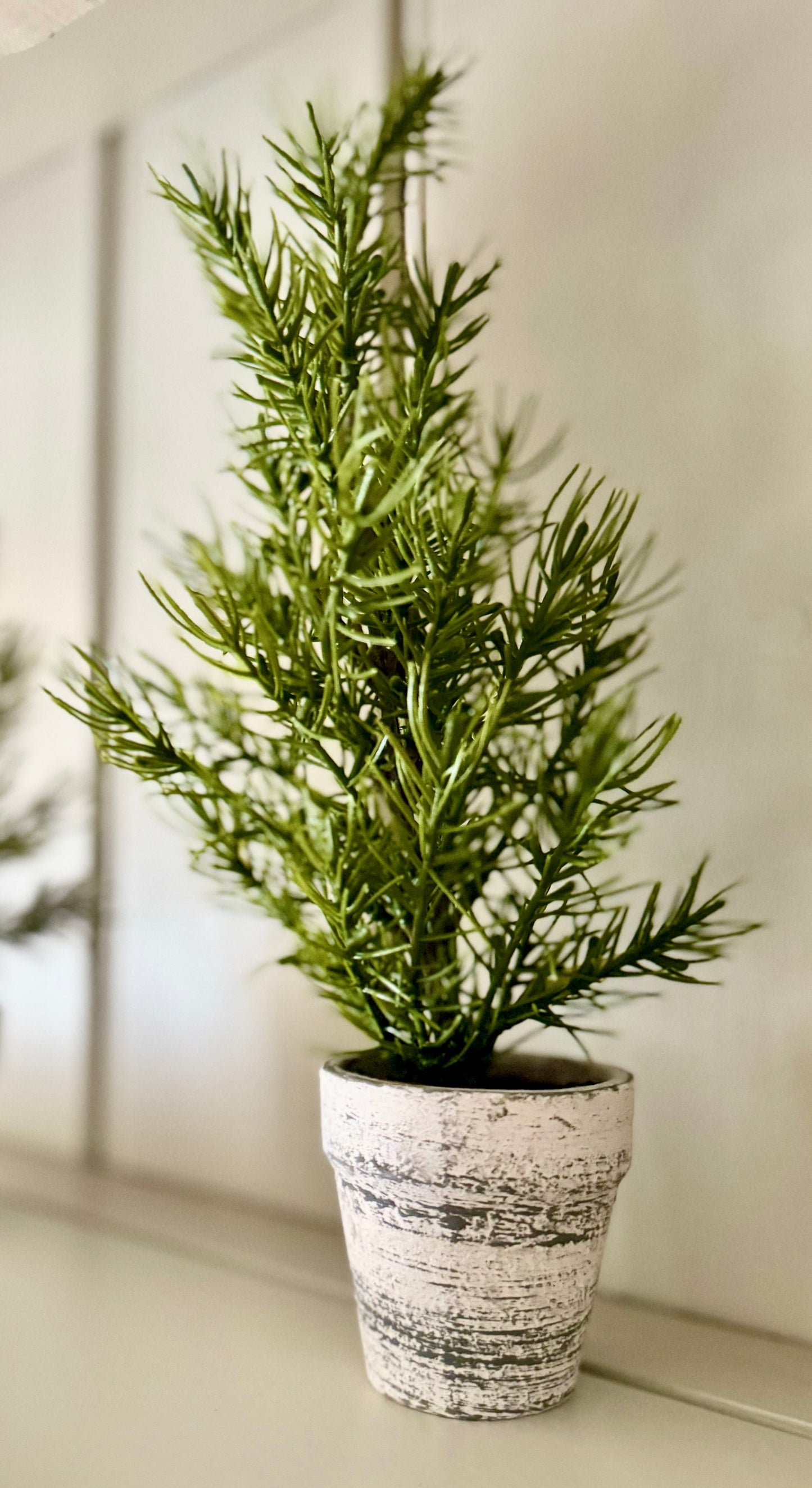 Mini Potted Indoor Trees in Rustic Pot - 31cm