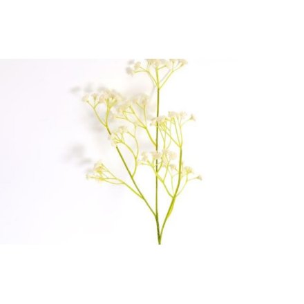 Gypsophilia Spray
